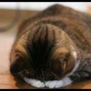 ヒメ日記 2025/08/24 10:12 投稿 じゅん ナイスレディ