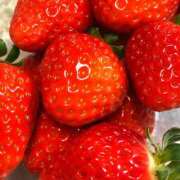 ヒメ日記 2025/02/12 08:26 投稿 みこと★(責め好きS様) ぽっちゃり女神 あぷろでぃーて