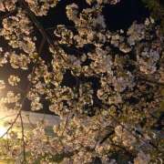 ヒメ日記 2025/04/08 11:52 投稿 みこと★(責め好きS様) ぽっちゃり女神 あぷろでぃーて