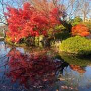 みこと★(責め好きS様) おぽぽよん💋💕 ぽっちゃり女神 あぷろでぃーて