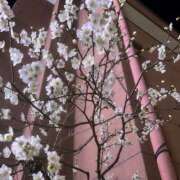 ヒメ日記 2026/01/31 15:10 投稿 みこと★(責め好きS様) ぽっちゃり女神 あぷろでぃーて