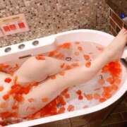 ヒメ日記 2026/02/19 12:30 投稿 みこと★(責め好きS様) ぽっちゃり女神 あぷろでぃーて