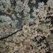 ヒメ日記 2026/04/07 10:45 投稿 みこと★(責め好きS様) ぽっちゃり女神 あぷろでぃーて