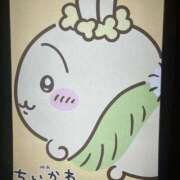 ヒメ日記 2026/08/06 03:38 投稿 みこと★(責め好きS様) ぽっちゃり女神 あぷろでぃーて