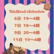 ヒメ日記 2026/04/06 12:05 投稿 むっちゃん★(犬系彼女) ぽっちゃり女神 あぷろでぃーて