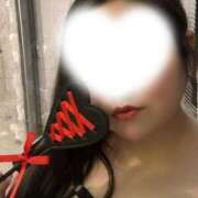 ヒメ日記 2025/03/29 13:58 投稿 しの ちゃんこ幕張店