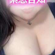 ヒメ日記 2025/05/19 17:45 投稿 しの ちゃんこ幕張店