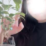 ヒメ日記 2025/06/01 14:51 投稿 しの ちゃんこ幕張店