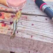 ヒメ日記 2025/07/19 22:35 投稿 しの ちゃんこ幕張店