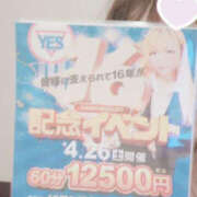 ヒメ日記 2025/04/02 10:12 投稿 ななせ PLATINA