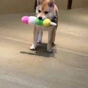 ヒメ日記 2025/09/16 15:03 投稿 愛川ありさ 宝石箱(すすきの)