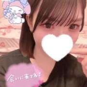 ヒメ日記 2025/02/05 10:14 投稿 藤咲りん ウルトラグレイス24