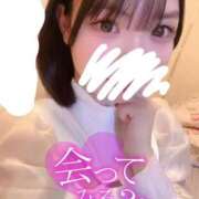 ヒメ日記 2025/02/06 10:19 投稿 藤咲りん ウルトラグレイス24