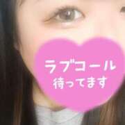 ヒメ日記 2025/03/24 11:15 投稿 ゆう ちゃんこ本厚木店