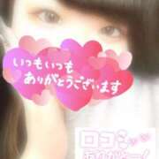 ヒメ日記 2025/03/27 11:45 投稿 ゆう ちゃんこ本厚木店