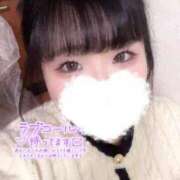 ヒメ日記 2025/11/15 11:00 投稿 ゆう ちゃんこ本厚木店