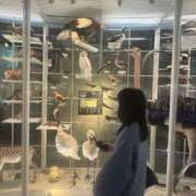 ヒメ日記 2025/05/19 21:06 投稿 ねる CECIL