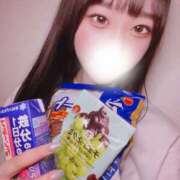 ヒメ日記 2025/05/24 12:03 投稿 ねる CECIL