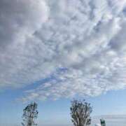 ヒメ日記 2025/06/06 05:18 投稿 ねる CECIL