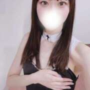 ヒメ日記 2025/06/22 06:00 投稿 ねる CECIL