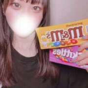 ヒメ日記 2025/06/27 07:01 投稿 ねる CECIL