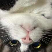 ヒメ日記 2025/08/22 12:01 投稿 ねる CECIL