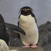 ヒメ日記 2025/08/22 19:46 投稿 ねる CECIL