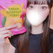 ヒメ日記 2025/08/23 06:00 投稿 ねる CECIL