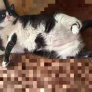 ヒメ日記 2025/09/24 19:59 投稿 ねる CECIL