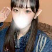 ヒメ日記 2025/10/31 08:01 投稿 ねる CECIL