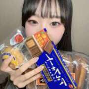 ヒメ日記 2025/10/31 12:04 投稿 ねる CECIL