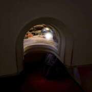 ヒメ日記 2025/11/14 15:01 投稿 ねる CECIL