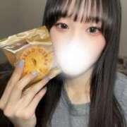 ヒメ日記 2025/11/17 11:06 投稿 ねる CECIL