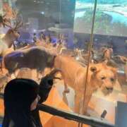 ヒメ日記 2025/11/17 13:01 投稿 ねる CECIL