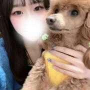 ヒメ日記 2025/12/02 15:00 投稿 ねる CECIL