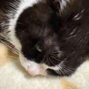 ヒメ日記 2026/01/16 16:46 投稿 ねる CECIL