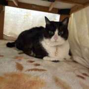 ヒメ日記 2026/02/19 14:00 投稿 ねる CECIL