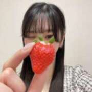 ねる お花付き🌸 CECIL