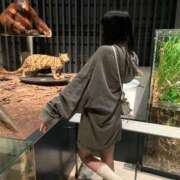 ヒメ日記 2026/02/28 06:00 投稿 ねる CECIL