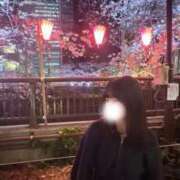 ヒメ日記 2026/03/22 06:00 投稿 ねる CECIL