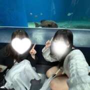 ヒメ日記 2026/03/28 06:01 投稿 ねる CECIL