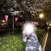 ヒメ日記 2026/04/05 10:01 投稿 ねる CECIL