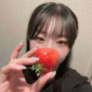 ヒメ日記 2026/04/13 10:02 投稿 ねる CECIL