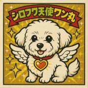 ヒメ日記 2025/05/29 19:06 投稿 せな 東京妻next (京都グループ)