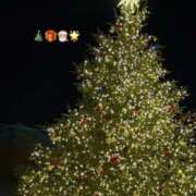 せな シフト🎄🪅 東京妻next (京都グループ)