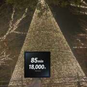 ヒメ日記 2025/12/19 23:09 投稿 あみか 迷宮の人妻 古河・久喜発