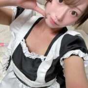 ヒメ日記 2025/04/15 19:01 投稿 みゆき ワンダーホール24