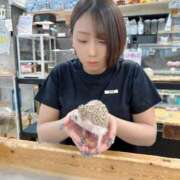ヒメ日記 2026/06/29 18:00 投稿 みゆき ワンダーホール24