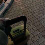 ヒメ日記 2025/01/29 05:22 投稿 しおり NEO不夜城