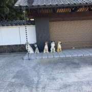 ヒメ日記 2025/01/31 09:22 投稿 しおり NEO不夜城